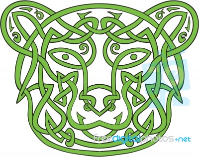 Bear Celtic Knot Stock Image