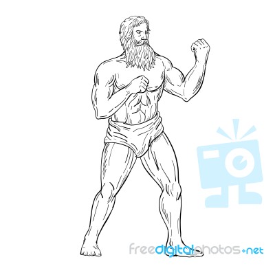 Bearded Boxer Fighting Stance Drawing Black And White Stock Image