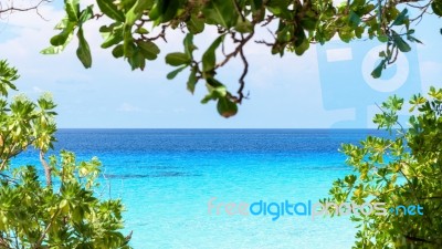 Beautiful Blue Sea At Koh Miang In Mu Koh Similan, Thailand Stock Photo