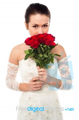 Beautiful Bride Holding Rose Bouquet Stock Photo