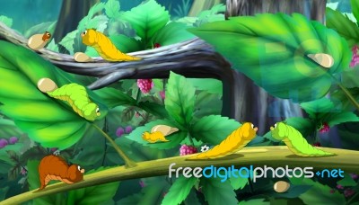 Beautiful Caterpillars Crawls On A Tree Full Color Image Stock Image