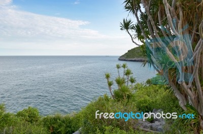 Beautiful Coast / Sea View Of Cliffs Stock Photo