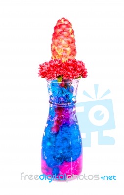 Beautiful Flowers In Glass Bottle With Hydrogel Isolated On Whit… Stock Photo