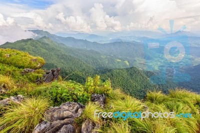 Beautiful Landscape At Phu Chi Fa Forest Park Stock Photo