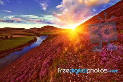 Beautiful Landscape Of Scottish Nature Stock Photo