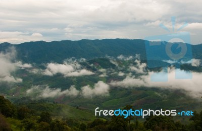 Beautiful Mist Closely On Mountains Stock Photo