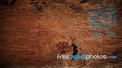 Beautiful  Nature  Texture Of Bark Wood Use As Natural Backgroun… Stock Photo