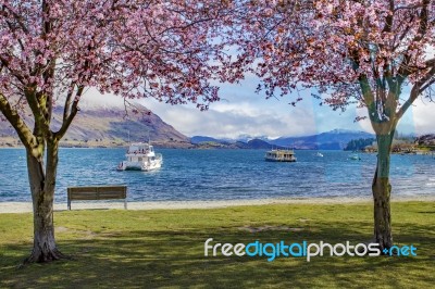 Beautiful Scenic Of Lake Wanaka New Zealand Stock Photo