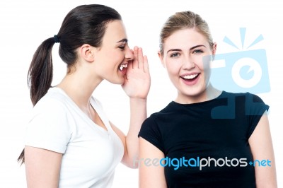 Beautiful Smiling Girls Sharing A Secret Stock Photo