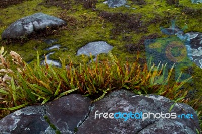 Beautiful Stone Stock Photo