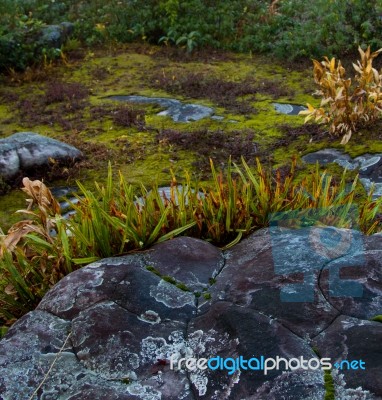 Beautiful Stone Stock Photo