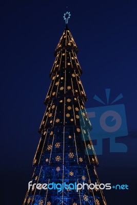 Beautiful Tall Christmas Tree (at Sunset) Stock Photo