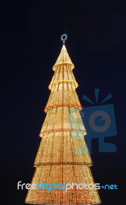 Beautiful Tall Christmas Tree (at Sunset) Stock Photo