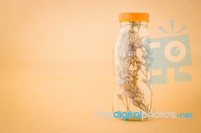Beautiful Violet Dried Flower In The Bottle Stock Photo