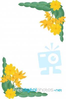 Beautiful Yellow Flower Stock Image Beautiful Yellow Flower Stock Image
