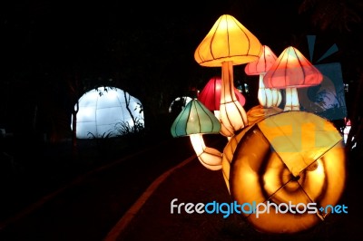 Beauty Light Festival Stock Photo Beauty Light Festival Stock Photo