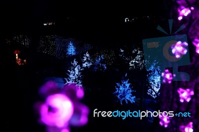 Beauty Light Festival Stock Photo