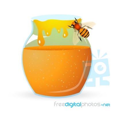 Bee With Honey Stock Image