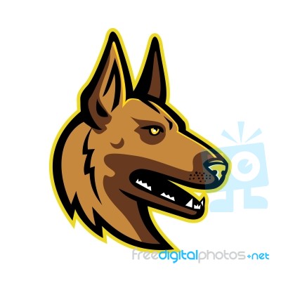 Belgian Malinois Dog Mascot Stock Image