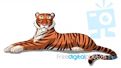 Bengal Tiger Isolated On White Background Stock Image