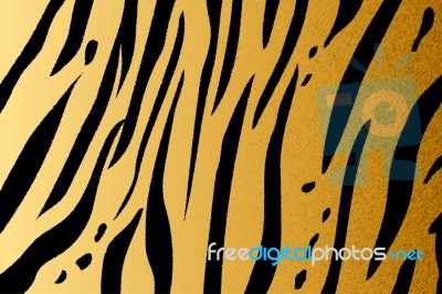 Bengal Tiger Stripe Pattern Stock Photo