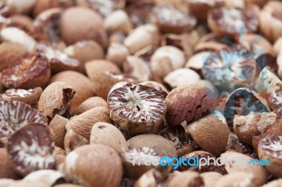 Betel Nut Or Areca But Background, Selective Focus Stock Image