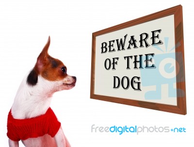 Beware Of The Dog Sign Stock Photo