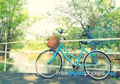 Bicycle Waiting Near Tree Stock Photo