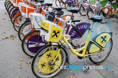 Bicycles For Hire In Vienna Stock Photo