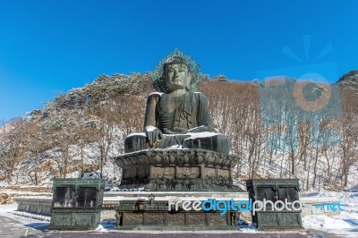 Big Buddha Monument Of Sinheungsa Temple In Seoraksan National Park In Winter, South Korea Stock Photo