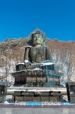Big Buddha Monument Of Sinheungsa Temple In Seoraksan National Park In Winter, South Korea Stock Photo
