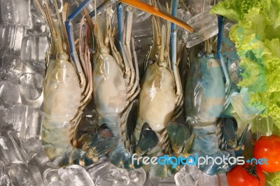 Big Fresh Shrimp Stock Photo