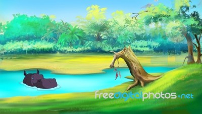 Big Hippo In A River Stock Image