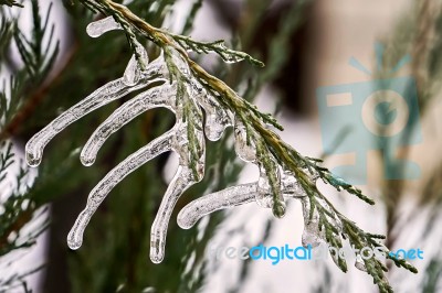 Big Icicles Stock Photo