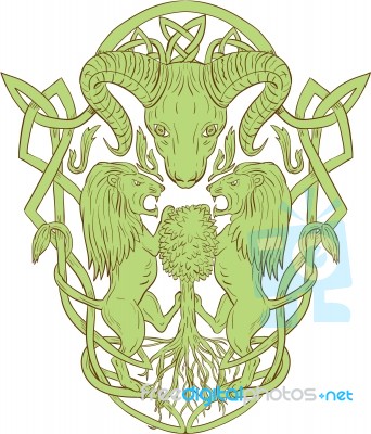 Bighorn Sheep Lion Tree Coat Of Arms Celtic Knot Stock Image