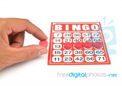 Bingo Card Stock Photo