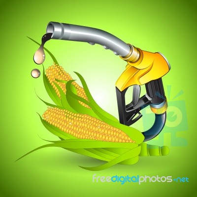 Bio Concept Fuel From Corn Stock Image
