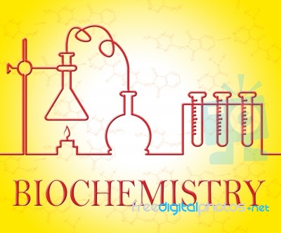 Biochemistry Research Represents Analysis Instruments And Assessment Stock Image