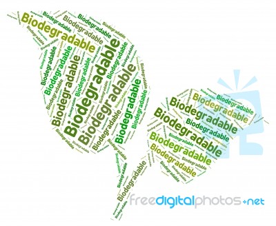 Biodegradable Word Means Degrade Text And Decomposing Stock Image
