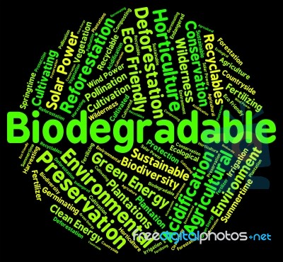 Biodegradable Word Showing Degrade Bacteria And Biodegrade Stock Image