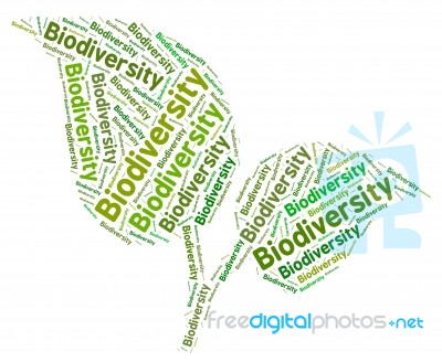 Biodiversity Word Indicating Plant Life And Verdure Stock Image