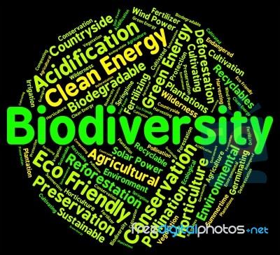 Biodiversity Word Means Plant Life And Animal Stock Image