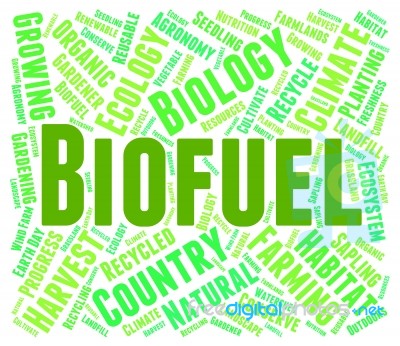 Biofuel Word Indicating Green Energy And Biofuels Stock Image