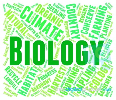 Biology Word Representing Plant Life And Wildlife Stock Image