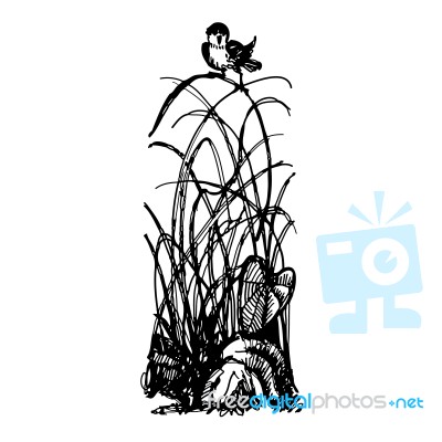 Bird On Clump Of Grass Doodle Stock Image