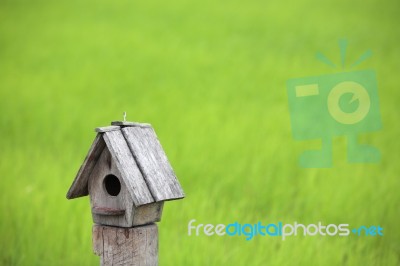 Birdhouse With Green Backdrop Stock Photo