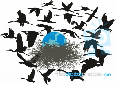 Birds Rescue The Planet Earth Stock Image