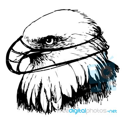 Black And White Eagle With Mask Hand Drawn Stock Image