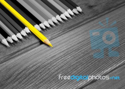 Black And White Image Of Colored Pencils With Isolated Yellow Pe… Stock Photo