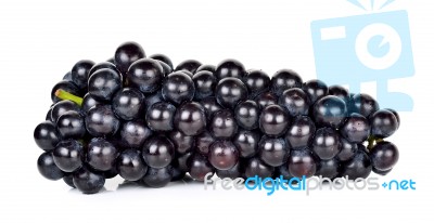 Black Grape Isolated On The White Background Stock Photo Black Grape Isolated On The White Background Stock Photo